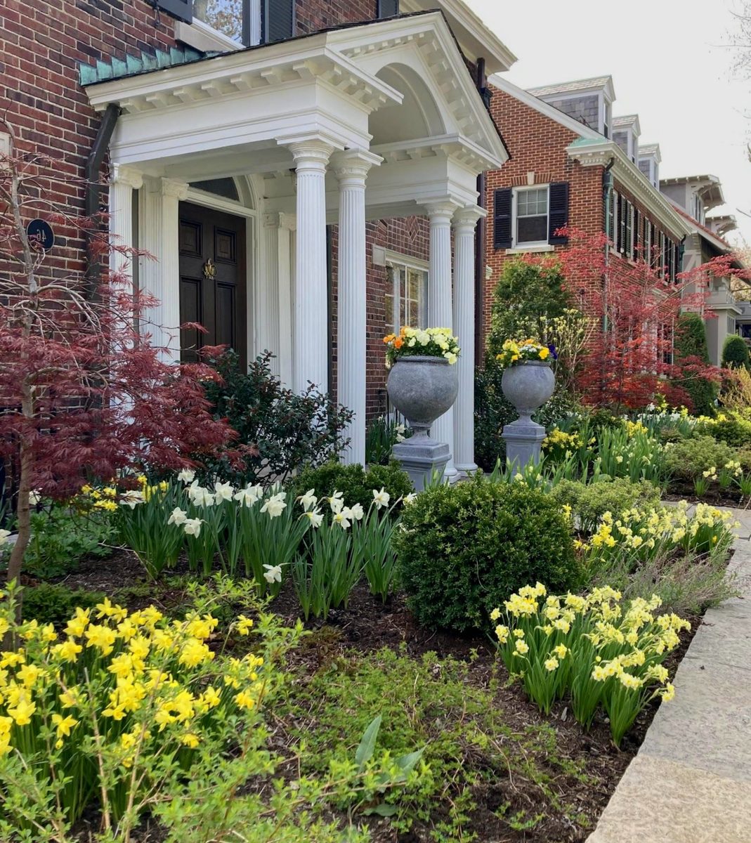 Brick entry with daffodils