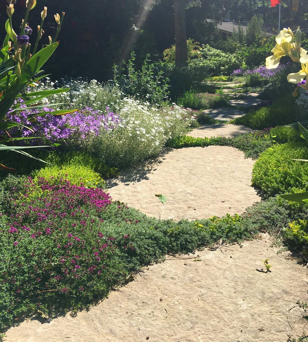 Flagstone path with herbs