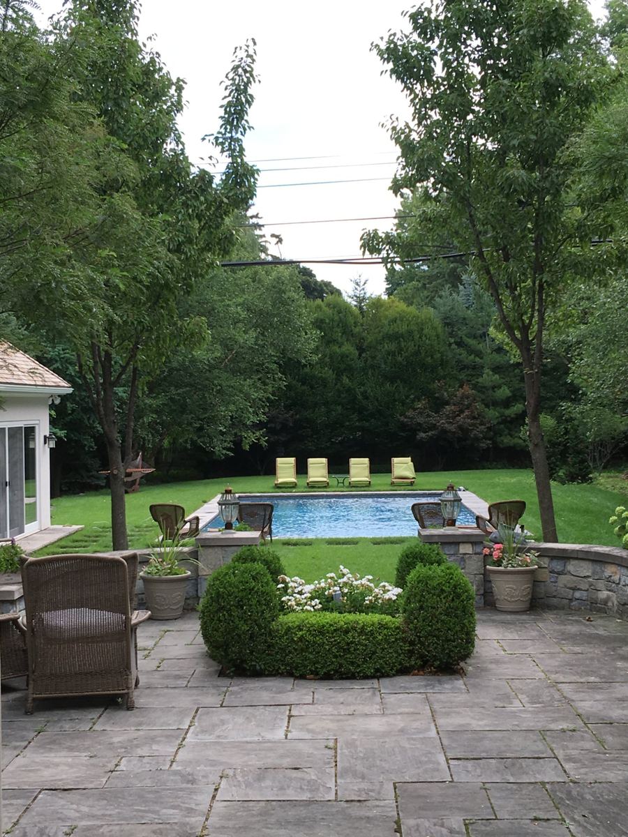Pool and garden