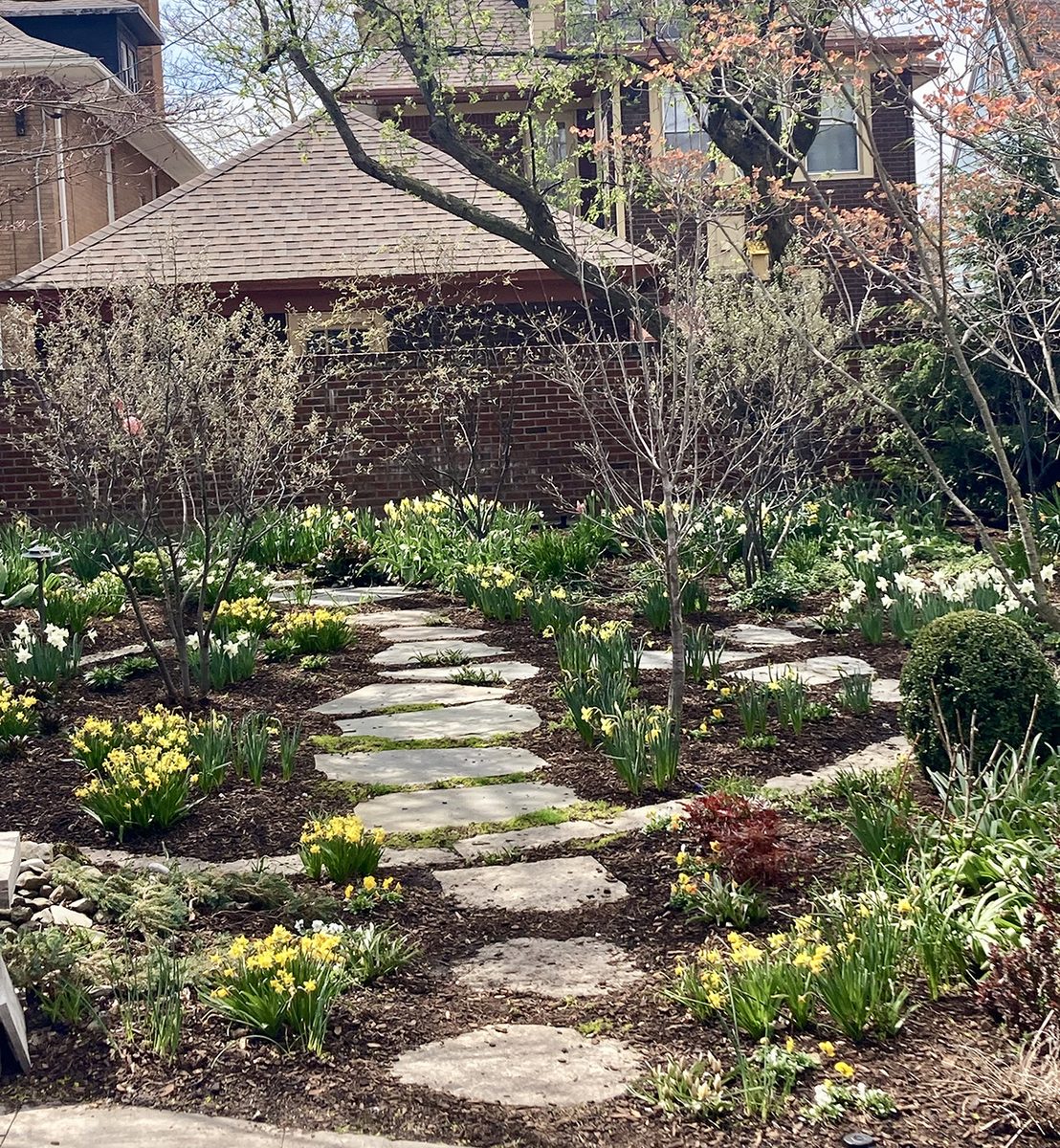 Stepping stone garden in spring