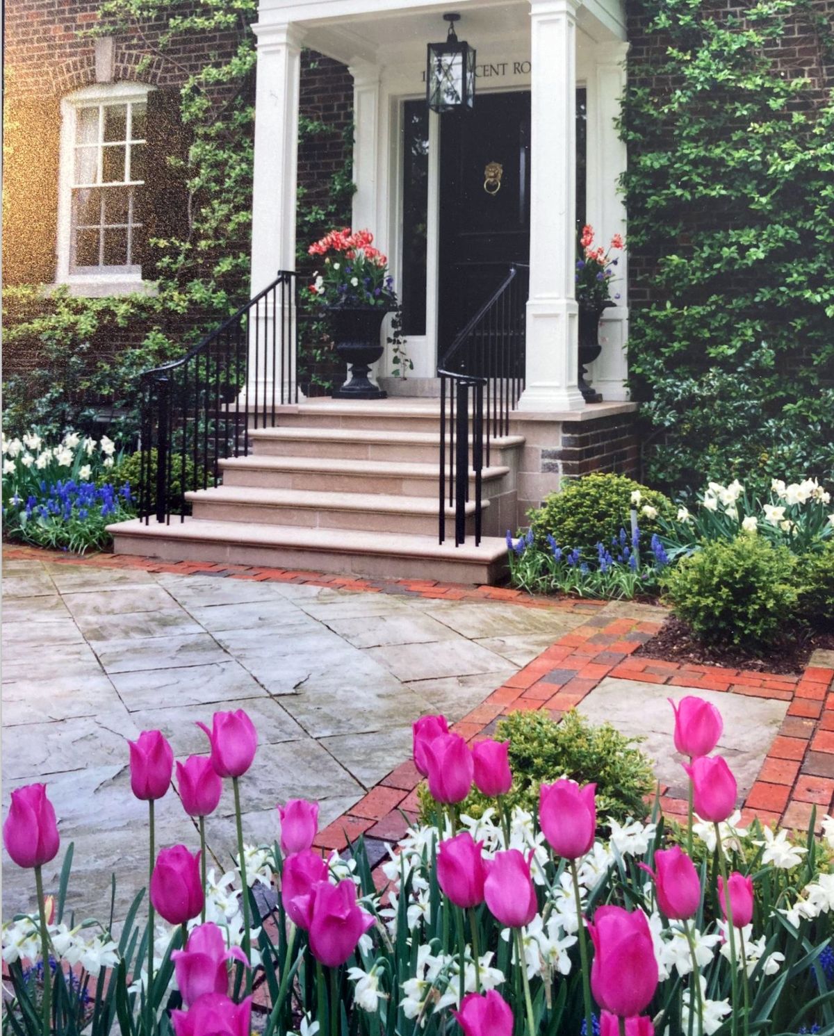 Tulips entry