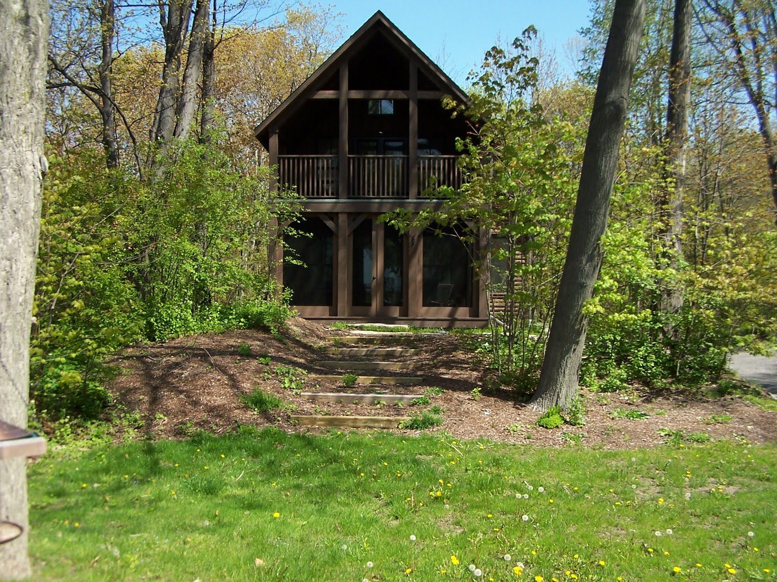 Woodland cottage