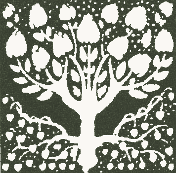 Earl Landscape Design